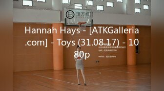 Hannah Hays - [ATKGalleria.com] - Toys (31.08.17) - 1080p