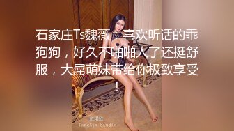 石家庄Ts魏薇：喜欢听话的乖狗狗，好久不啪啪人了还挺舒服，大屌萌妹带给你极致享受！