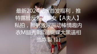 最新2024无水首发福利，推特露脸反差婊熟女【A夫人】私拍，颜射放尿振动棒情趣内衣M腿秀B紫薇蝴蝶大黑逼相当炸裂 (1)