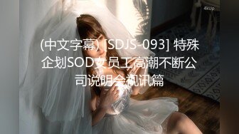 (中文字幕) [SDJS-093] 特殊企划SOD女员工高潮不断公司说明会视讯篇