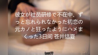 彼女が社员研修で不在中、ずっと忘れられなかった初恋の元カノと狂ったようにハメまくった3日间 苍井结夏