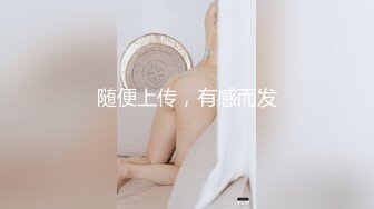 完美搭配1