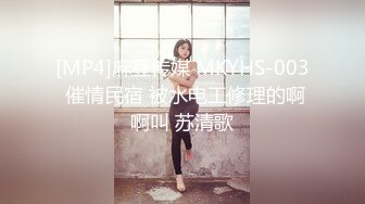 [MP4]麻豆传媒 MKYHS-003 催情民宿 被水电工修理的啊啊叫 苏清歌